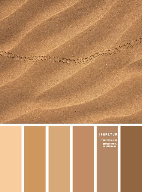 colour palettes Archives 4 - I Take You | Wedding Readings | Wedding Ideas | Wedding Dresses | Wedding Theme Brown Scheme Colour Palettes, Shade Of Brown Colour Palettes, Sandstone Colour Palette, Sand Color Pallete, Neutral Color Wheel, Sand Wedding Colors, Color Palette Sand, Soft Brown Color Palette, Light Brown Pallete Color