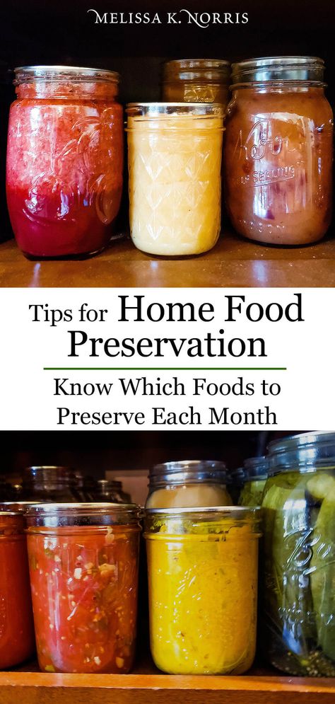 Tips for Home Food Preservation - Seasonal Preserving Each Month Food Grade Buckets, Food In Jars, Preppers Pantry, Canning 101, Canning Food Preservation, Preserve Food, Canned Food Storage, Canning Tips, Canning Tomatoes