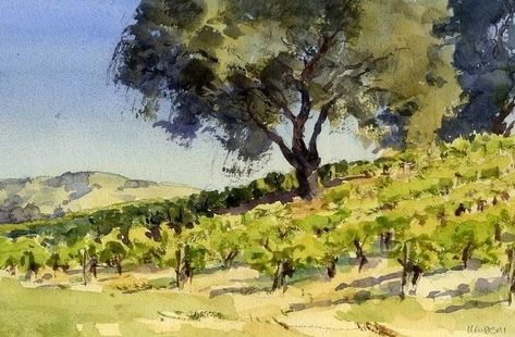 Mike Kowalski | WATERCOLOR | South Vineyard Oak Mike Kowalski, Vineyard Watercolor, Vineyard Artwork, Art Nouveau Poppy, Vineyard Art, Paint Trees, Oak Art, Painting Meadow, Painting With Watercolors