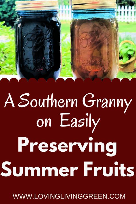 Would you like to preserve your summer fresh fruits? Read on to learn a simple process for making preserves! Preserve Recipes – Preserve Recipes Homemade – Preserves and Jam – Peach Preserves Recipe No Pectin – Peach Preserves Recipes Easy - Peach Preserves Recipes Canning – Strawberry Preserves – Fig Preserves – Blackberry Preserves – Pear Preserves – Blueberry Preserves – How to Make Fruit Preserves Canning Figs, Canning Blueberries, Canning Strawberries, Simple Canning, Canning Blackberries, Peach Preserves Recipe, Homestead Skills, Canning Pears, Pear Preserves