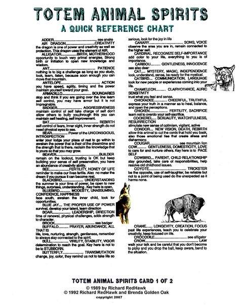 Totem Animals is just a quick reference to the attributes of the various animals of the world. Spirit Animal List, Animal Prayers, Animal Totem Spirit Guides, Animal List, Spirit Animal Meaning, Totem Animals, Native American Totem, Animal Meanings, Spirit Animal Totem