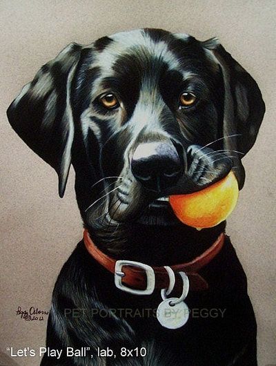 Painting Of Labrador, Australian Shepherd Painting Easy, Black Lab Drawing Easy, Black Lab Drawing, Black Labrador Painting, Black Lab Painting, Black Lab Art, Lab Painting, Labrador Nero