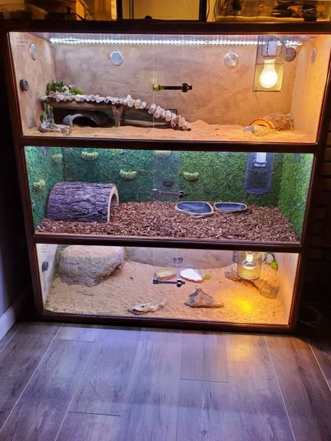 Multiple Reptile Tank Setup, Reptile Tank Ideas, Lizard Tank Ideas, Lizard Enclosure, Turtle Tank Ideas, Lizard Cage, Lizard Habitat, Snake Cages, Snake Terrarium