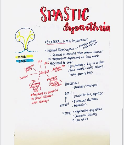 Single spastic dysarthria type characteristics Dysarthria Types, Slp Praxis, Speech Language Pathology Grad School, Planner Pictures, Praxis Study, Neuro Divergent, Slp Grad School, Speech Disorders, Medical Slp