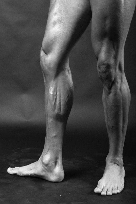 Bent Knee Reference, Legs Anatomy, Leg Reference, Reference Models, Lower Leg Muscles, Cycling Legs, Leg Anatomy, Human Muscle Anatomy, 3d Art Sculpture