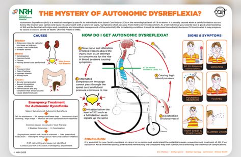 Autonomic dysreflexia High Blood Pressure Chart, Neuro Nursing, Autonomic Dysreflexia, What Is Blood, Nurse Ratchet, Nursing School Studying Cheat Sheets, Spinal Cord Injuries, What Is Blood Pressure, Nclex Prep