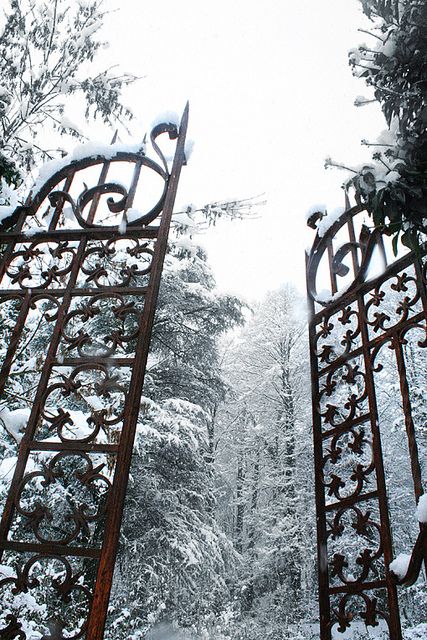 Chronicles Of Narnia, Winter Magic, Iron Gates, Winter Beauty, Iron Gate, Snow Queen, Winter Wonder, Garden Gates, Narnia