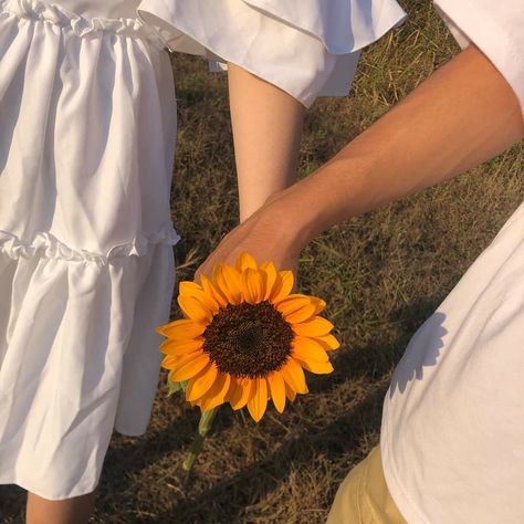 Face Hide Photo, Valentine Picnic, Sunflower Couple, Hide Photo, Flower Picking, Hidden Photos, Best Honeymoon Destinations, Travel Pictures Poses, Best Honeymoon