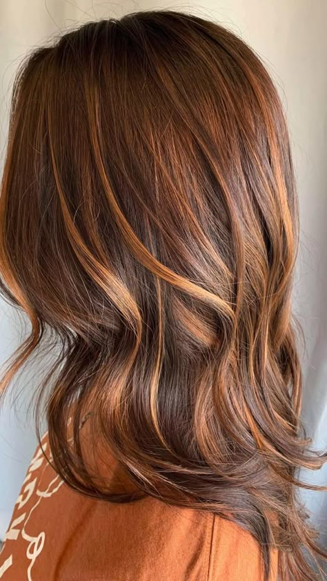 Caramel Hair Color Ideas, Golden Hair Color, Caramel Hair Color, Carmel Highlights, Cinnamon Hair Colors, Pelo Cafe, Cinnamon Hair, Hair Color Caramel, Color For Brunettes