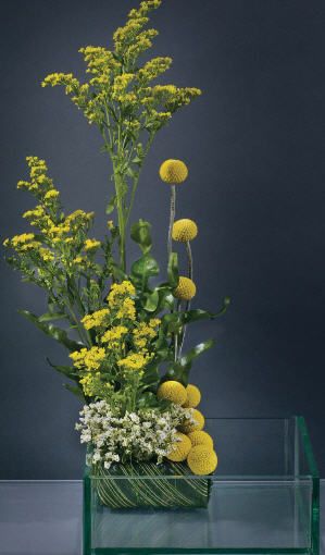 Billy balls and solidago centerpiece. Grapevine Ideas, Billy Balls, Curly Willow, Floral Inspiration, Simple Weddings, Simple Wedding, Grape Vines, Tulips, Glass Vase