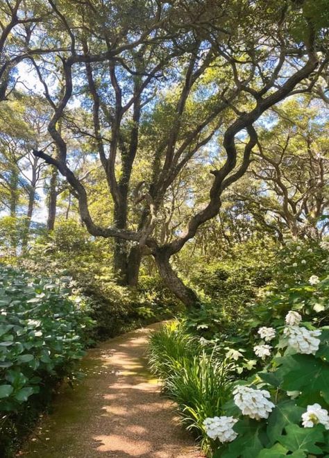 Pretty Like The Earth, Aesthetic Earth Pictures, Earth Mother Aesthetic, Element Earth Aesthetic, Earth Angel Aesthetic, Earth Asethic, Earth Academia, Earth Powers Aesthetic, Earth Core Aesthetic