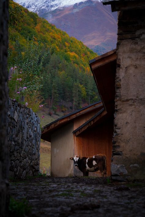 Mestia Georgia, Svaneti Georgia, Incredible Nature, Summer 24, Four Wheel Drive, Autumn Colors, Fall Colors, Image Search, Georgia