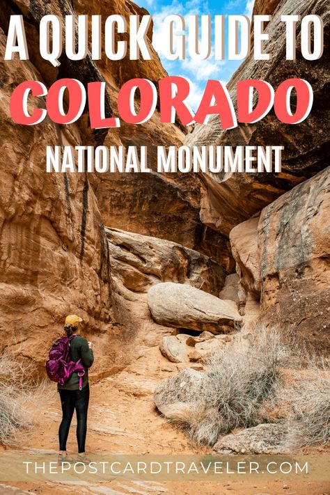 Things To Do In Colorado, Colorado National Parks, Monument Colorado, Colorado National Monument, Grand Junction Colorado, Road Trip To Colorado, Explore Colorado, Bighorn Sheep, Colorado Adventures