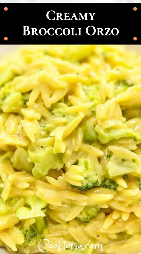 Orzo And Broccoli Recipe, Orzo Recipes Side, Orzo Dinner Recipes, Broccoli Orzo, Orzo Pasta Recipes, Vegetarian Risotto, Orzo Dishes, Creamy Orzo, Broccoli Side Dish