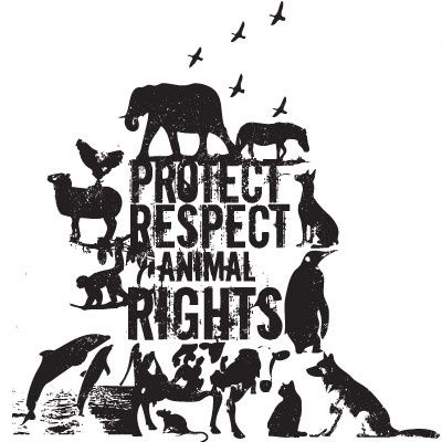 For our little friends #advice #quote #animals #zeynepturan Animal Protest Art, Animal Rights Tattoo, Tattoo Animal, Vegan Tattoo, Animal Activism, Animal Activist, Protest Art, Animal Liberation, Why Vegan