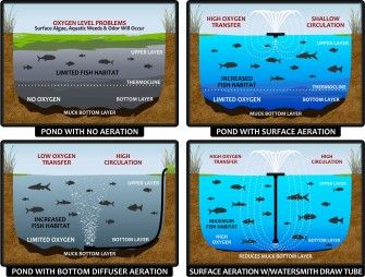 Aeration Diagrams Catfish Pond, Catfish Farming, Fish Pool, Pond Aerator, Living Pool, Leisure Pools, Outdoor Ponds, Diy Pond, Pool Care