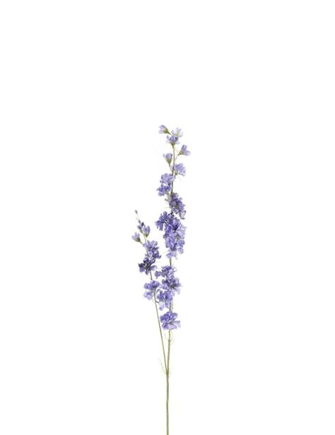 Lavender Aesthetic, Oil Pastel Paintings, Pastel Paintings, Tattoo Portfolio, Instagram My Story, Wallpaper Vintage, Iphone Wallpaper Vintage, Cute Profile Pictures, Lavender Flowers