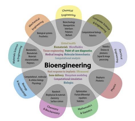 Is Bioengineering Right for Me? | UW Bioengineering Computational Biology, Microbiology Lab, Medical Engineering, Tissue Engineering, Nursing School Motivation, Environmental Scientist, Medical Laboratory Science, Computer Science Engineering, Biomedical Science