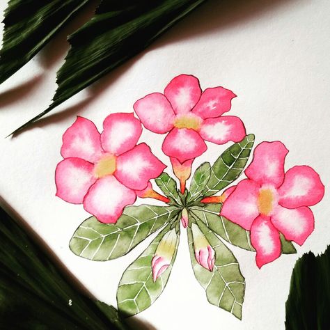 Desert Rose Painting, Desert Rose Drawing, Desert Rose Tattoo, Sketching Flowers, Beautiful Flower Drawings, Rose Drawing, Watercolor Plants, Botanical Illustrations, Floral Poster