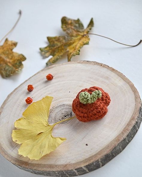 Mini size pumpkin crochet pattern Pumpkin Crochet Pattern, Pumpkin Crochet, Crochet Projects, Crochet Pattern, Free Pattern, Crochet Patterns, Crochet, Pattern, Design