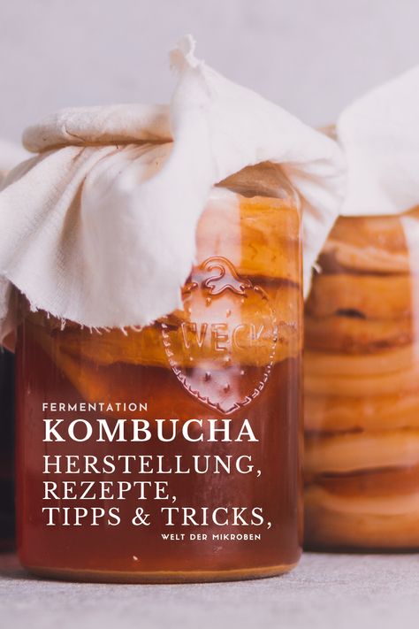 Alles rund um das Thema Kombucha: Herstellung, Teesorten, Zucker für die Fermentation, Rezepte für die Zweitfermentation, Tipps & Tricks von Fermentista Jun Kombucha, Kombucha Recipe, Kefir, Kombucha, Comfort Food, Avatar, Health And Beauty, Drinks, Health