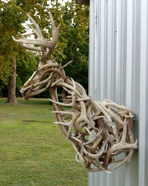 #WhitetailWednesday: 25 Unique Ideas for Your Next Whitetail Mount European Mount Decor, European Deer Mount Ideas, Antler Mount Ideas, Skull Mount Ideas, European Mount Ideas, Deer Mount Ideas, Antler Mounts, Deer Skull Mount, Deer Antler Crafts