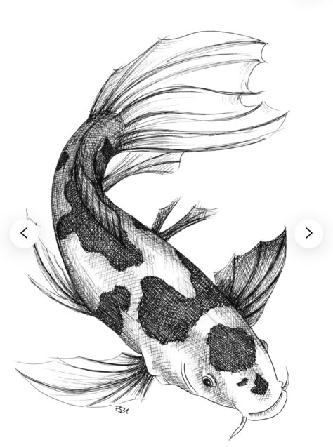 Fish Drawing Detailed, Koi Fish Pencil Drawing, Koi Art Drawing, Fish Sketch Simple, Lion Fish Drawing, Fish Pen Drawing, Drawing Ideas Fish, Sea Fish Drawing, Fish To Draw