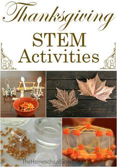 Thanksgiving STEM Activities                                                                                                                                                                                 More November Stem, Thanksgiving Stem Activities, Homeschool Thanksgiving, Thanksgiving Learning, Thanksgiving Stem, Tattoo Knee, Thanksgiving Tradition, Thanksgiving Activities Preschool, Thanksgiving Crafts For Toddlers