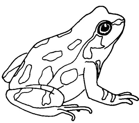 clip art of a toad | frog-clip-art-black-and-white-frog-clipart.gif Inkscape Tutorials, Frog Coloring Pages, Rainforest Animals, Frog Drawing, Free Clipart Images, Frog Art, A Frog, Rock Painting Art, Free Clipart