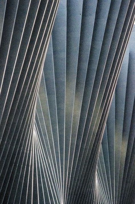 Lines And Shapes, Santiago Calatrava, Tableau Art, Pattern Wall, Reggio Emilia, Gothic Architecture, Art Plastique, Architecture Photography, Architecture Details