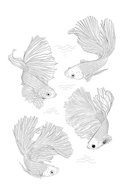 Illustration hand drawn betta fish | Premium Vector #Freepik #vector #tropical #water #nature #background Drawing Betta Fish, Beta Fish Illustration, Betta Fish Drawing Easy, Betta Fish Illustration, Beta Fish Tattoos, Fish Aquarium Drawing, Betta Fish Sketch, Betta Drawing, Betta Fish Drawing