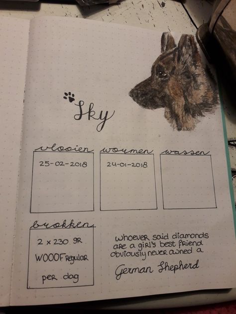 Health tracker for my dog in my Bullet Journal. #Germanshepherd #GSD #dog #tracker #health #bujo #journalling #bulletjournal #inspiration #ideas Dog Journal Ideas, Puppy Journal, Bujo Trackers, Animal Journal, Bullet Journal Prompts, Bujo Journal, Dog Tracker, Dog Journal, Rare Dogs