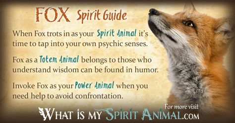 In-depth Fox Symbolism & Meanings! Fox as a Spirit, Totem, & Power Animal. Plus, Fox in Celtic & Native American Symbols & Dreams! #spiritanimal #fox #mammals #animals #animales #wildlife #totems What Is My Spirit Animal, Spirit Animal Fox, Fox Symbolism, Animal Totem Spirit Guides, Spirit Animal Quiz, Find Your Spirit Animal, Symbolism Meaning, Spirit Animal Meaning, Fox Totem