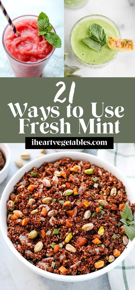 Cooking With Mint, Recipes With Mint Leaves Dinner, Recipes With Mint Leaves, Recipes With Fresh Mint, Mint Recipes Fresh, Zucchini Ribbon Salad, Infused Recipes, Easy Quinoa, Creamy Avocado Sauce