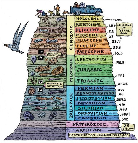 Tabel Periodik, Geologic Time Scale, Sistem Solar, Illustration Book, Geology Rocks, Charles Darwin, Homeschool Science, Space Science, Teaching Science