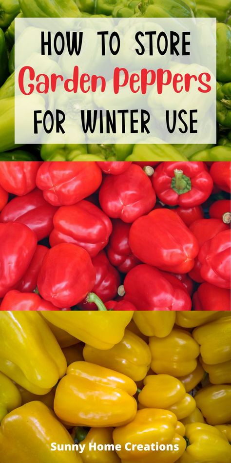 Store Peppers, How To Store Peppers, Winter Canning, Preserving Peppers, Garden Peppers, Canning Peppers, Sweet Pepper Recipes, Pickled Vegetables Recipe, Canned Food Storage