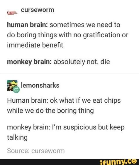 Monkey Brain, Monkey Brains, Funny Tumblr Posts, Human Brain, E Card, What’s Going On, Tumblr Funny, Tumblr Posts, Popular Memes