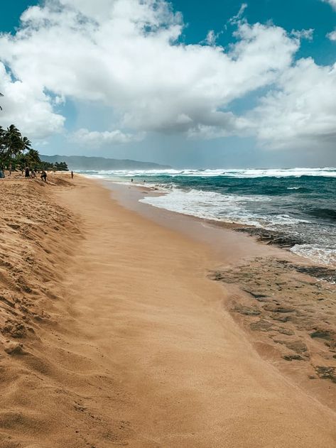 Want to visit the true Turtle Beach Oahu offers? There are a number of places that will allow you to see the famous giant sea turtles, but Laniakea Beach justifiably earns its nickname of Turtle Beach for being one of the easiest spots to consistently see loads of turtles! Not only is Laniakea Beach amazing […] The post Laniakea Beach – The TRUE Turtle Beach Oahu Offers appeared first on Avenly Lane Travel. Laniakea Beach, Giant Sea Turtle, Sea Turtle Species, Waimea Valley, Oahu Beaches, Hawaiian Sea Turtle, Lanikai Beach, Famous Waterfalls, North Shore Oahu