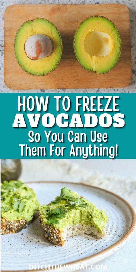 How To Preserve Avocado In Fridge, How To Freeze Avocados, Freezing Avocados How To, How To Preserve Avocado, Frozen Avocado Recipes, Frozen Avocado Uses, Avocado Freezing, How To Freeze Avocado, Freezing Avocados