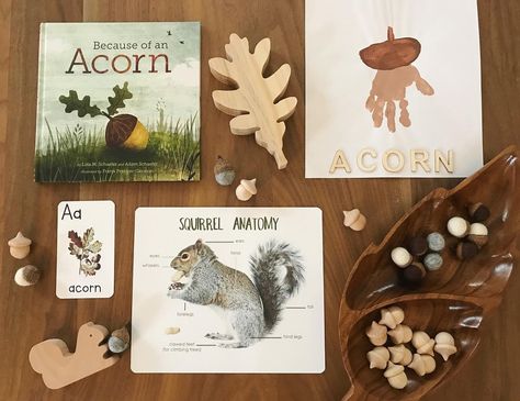 Squirrel Preschool Theme, Autumn Animals Preschool, Squirrel Theme Preschool, Squirrel Preschool, Preschool Squirrel Theme, Squirrels And Acorns Preschool, Squirrel Crafts Preschool, Squirrel Kindergarten Activities, Squirrel Prek Activities