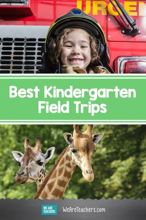 The Best Kindergarten Field Trip Ideas for Out-of-School Learning Kindergarten Field Trip Ideas, Preschool Field Trip Ideas, Preschool Field Trip, Field Trip Ideas, Outdoor Learning Activities, Homeschool Field Trips, Virtual Teaching, School Field, Travel Prep