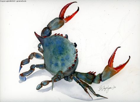 Original watercolor giclee print of a fighting Maryland blue crab Blue Crabs Art, Crab Watercolor, Crab Painting, Coastal Landscaping, Maryland Blue Crab, Coastal Glam, Crab Art, Contemporary Watercolor, Blue Crab