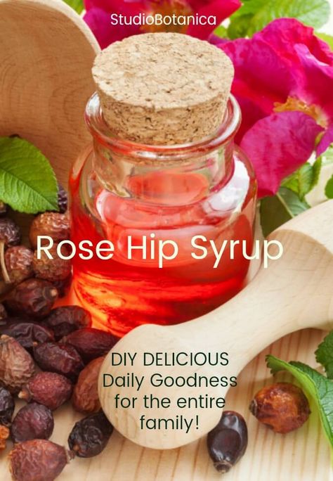 Uses For Rose Hips, Elderberry Syrup With Rose Hips Recipe, Rosehip Recipes, Ginger Rose, Aphrodisiac Foods, Spice Combinations, Diy Coconut, Coconut Syrup, Witch Herbs