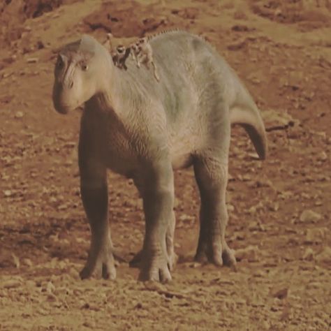 Aladar on Instagram: “#disneydinosaur #disneyland #disney #dinosaur #aladar #neera #kron” Disney Dinosaur Movie, Dinosaur 2000, Dinosaur Horror, Disney Dinosaur, Dinosaur Movie, Dino Art, Walking With Dinosaurs, Land Before Time, Fav Movies