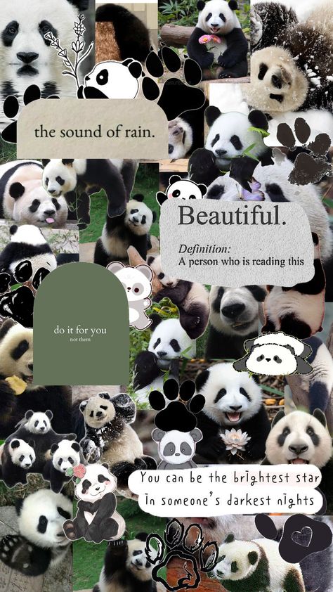 Adorable Panda Bear Collage :3 Panda Collage, Panda Bears Wallpaper, Vintage Paper Printable, Iphone Wallpaper Cat, Sound Of Rain, Bear Wallpaper, Cute Backgrounds, Cute Panda, Bright Stars