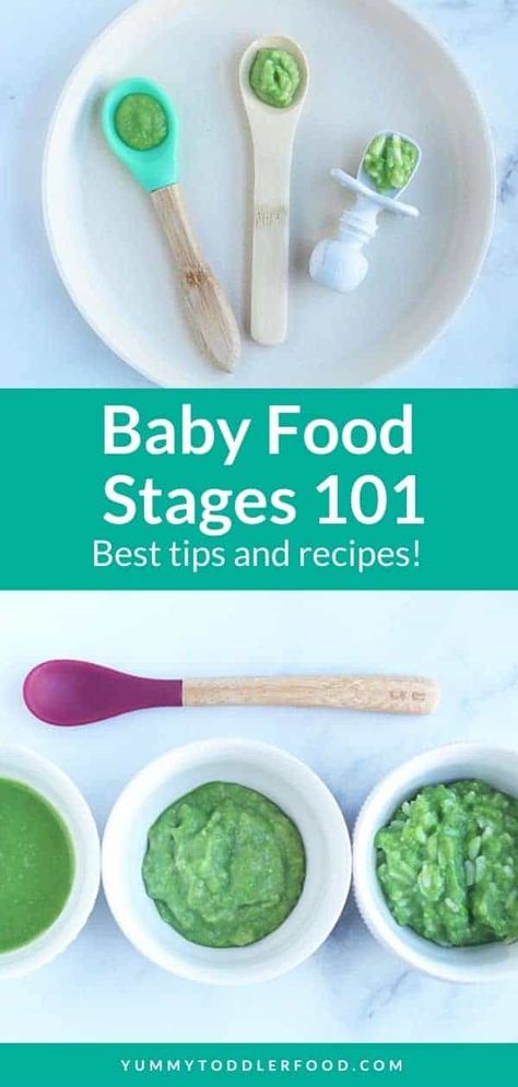 Here's what the terms Stage 1, Stage 2, and Stage 3 mean related to baby food stages, and the ages and best recipe ideas that correspond to each. With answers to common questions too! Stage 3 Baby Food Recipes, Baby Food Chart By Age, Stage 2 Baby Food Recipes, Baby Food Stages, Pea Baby Food, Baby Food Recipes Stage 1, Baby Pasta, Sweet Potato Baby Food, Easy Homemade Baby Food