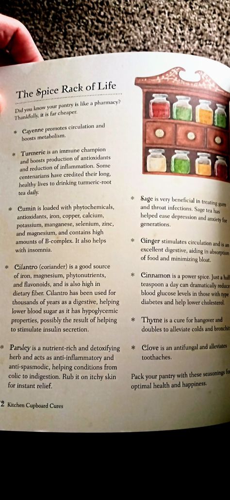 Kitchen Witch Cookbook, Kitchen Witch Tips, Kitchen Witchery Recipes, Witches Cookbook, Witch Types, Kitchen Witches, Kitchen Witchcraft, Hearth Witch, Grimoire Ideas