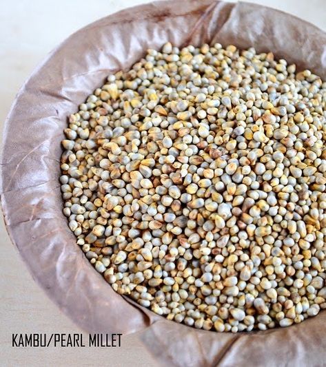 Pearl millet picture Benefits Of Millets, Types Of Millets, Names In Different Languages, Millet Benefits, How To Cook Millet, Millets Recipes, Kodo Millet, Sweet Pongal, Finger Millet