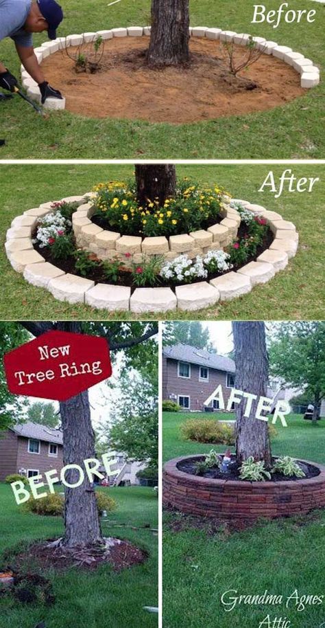 Flower Bed Around A Tree, Taman Vintage, Landscaping Around Trees, نباتات منزلية, Tree Ring, Easy Landscaping, Landscape Designs, Low Maintenance Garden, Have Inspiration