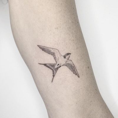 Explore the 8 Best Sparrow Tattoo Ideas (2020) • Tattoodo Bird Tattoo Fine Line, Sparrow Tattoo Ideas, Voldemort Tattoo, Sparrow Tattoos, Mockingbird Tattoo, Sparrow Tattoo Design, Beetlejuice Tattoo, Drum Tattoo, Bird Tattoo Back